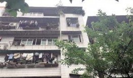 重庆永川最新爆料,揭秘神秘事件背后的真相